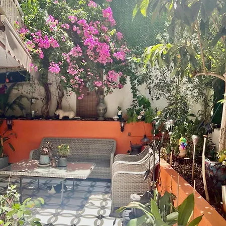 Apartament & Garden *